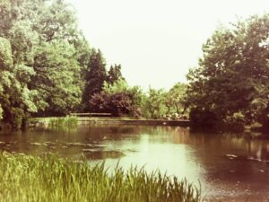 schlosspark 1953 02
