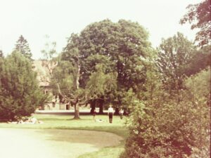 schlosspark 1953