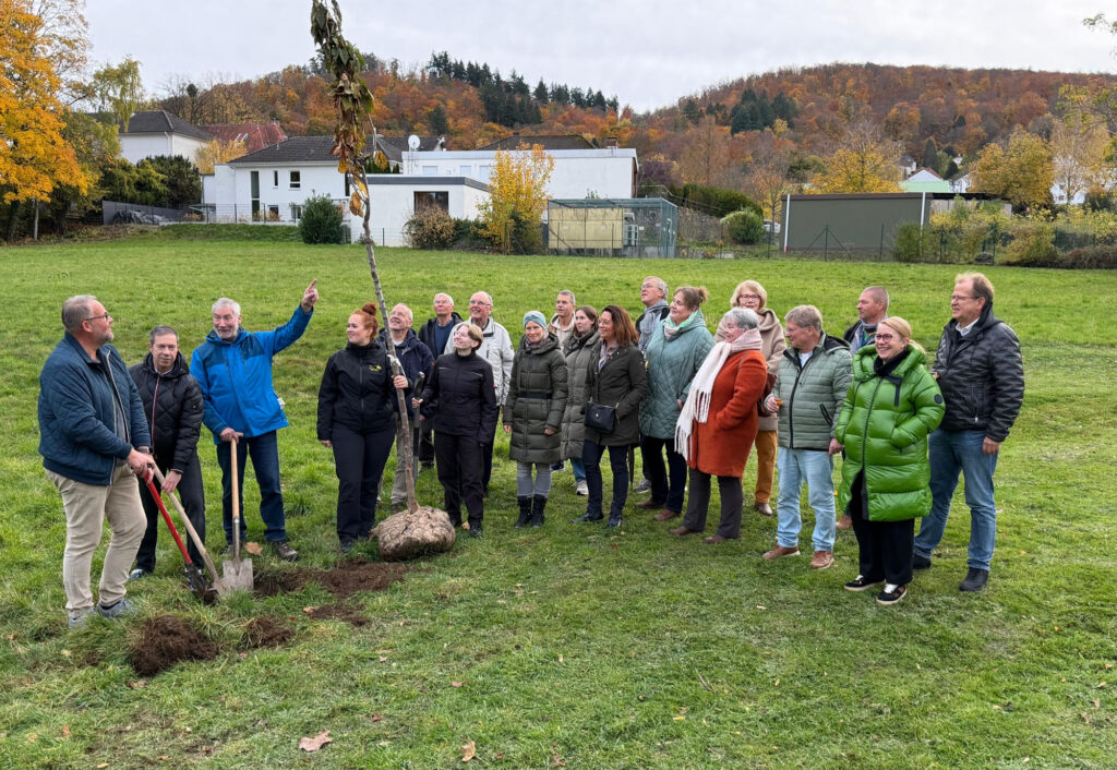 Baum pflanzen Streuobstwiese Harzburg