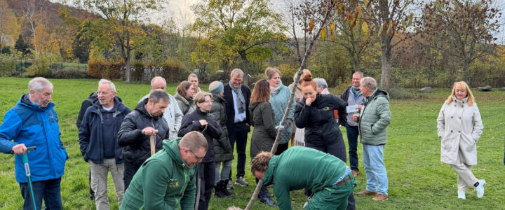 Streuobstwiese: Eine gute Idee schlägt Wurzeln