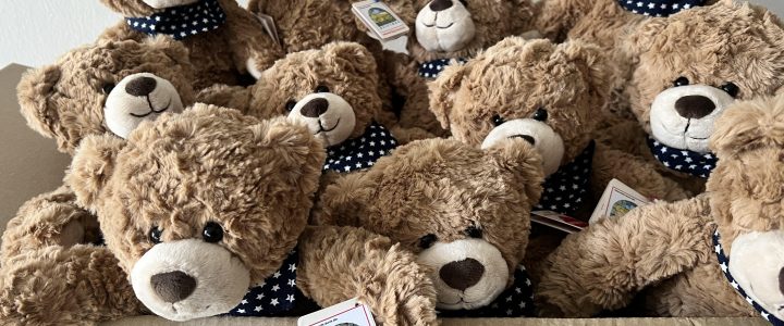 Ein Teddy als Freund und Helfer